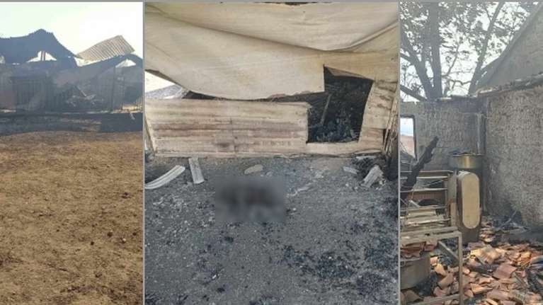 Φωτιά στον Εβρο: Εικόνες απόλυτης καταστροφής με εκατοντάδες καμένα ζώα και χιλιάδες στρέμματα που έγιναν στάχτη