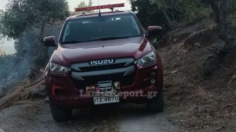 Λαμία: Δύο νεαροί προσήχθησαν για απόπειρα εμπρησμού - Τους είδαν να ρίχνουν πετρέλαιο σε θάμνους