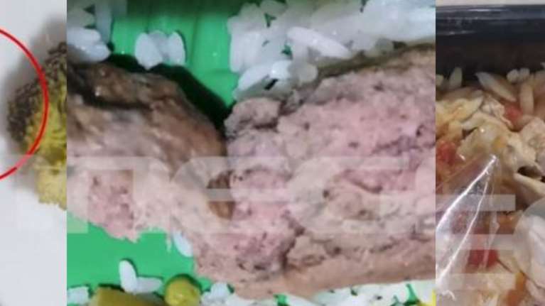 Λαμία: Κάμπιες σε μπρόκολο, άψητα μπιφτέκια και κοτόπουλα με... φτερά - Εικόνες από τα χαλασμένα γεύματα σε παιδιά [Βίντεο]