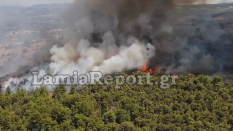 Ανεξέλεγκτη πυρκαγιά στον Θεολόγο: Καίγεται πευκοδάσος - Διακόπηκε η κυκλοφορία [Εικόνες απο drone]