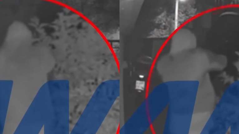 Άγιος Στέφανος: Σοκαριστικό βίντεο ντοκουμέντο - Η στιγμή που ο δράστης πυροβολεί εξ επαφής τον 38χρονο