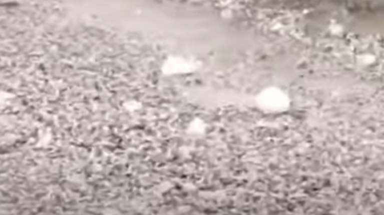 H Ιταλία "ψήνεται" και στα βόρεια ρίχνει χαλάζι σε μέγεθος μπάλας του τένις - 110 άτομα τραυματίστηκαν [βίντεο]