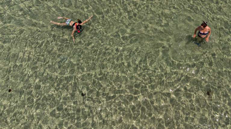 Μωβ μέδουσες: Οι επτά σωτήριες κινήσεις σε περίπτωση τσιμπήματος - Σε ποιες παραλίες της Αττικής εμφανίστηκαν