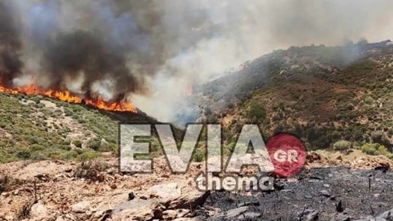 Ανεξέλεγκτη η φωτιά στην Κάρυστο: Καίγονται σπίτια στον Πλατανιστό - Πληροφορίες για αγνοούμενο κτηνοτρόφο