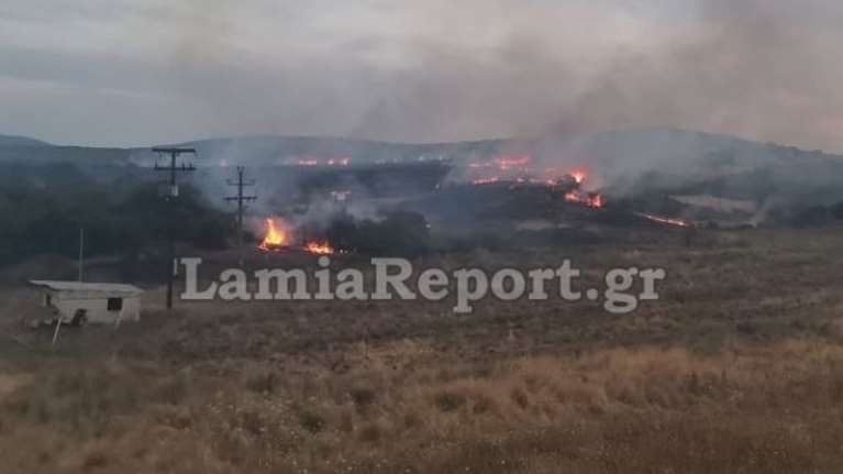 Φθιώτιδα: Πυρκαγιά σε τρία μέτωπα στο Παλαιοχώρι Λαμίας [εικόνα - βίντεο]