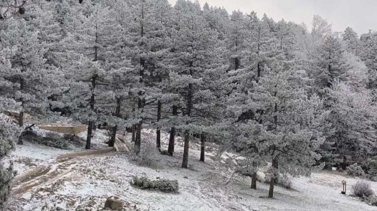 Λευκό τοπίο στην Πάρνηθα - Έπεσαν τα πρώτα χιόνια στην Αττική [βίντεο]