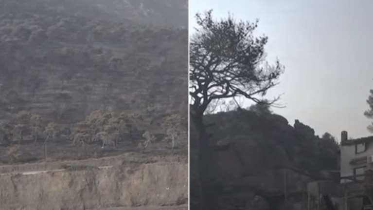 Φωτιά στον Σχίνο: Απίστευτες εικόνες καταστροφής στα Γεράνεια Όρη - Αποκαλυπτικό βίντεο από drone