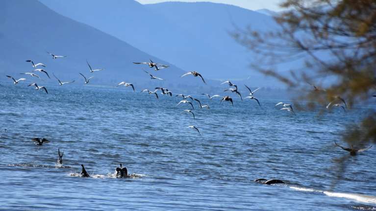 Καιρός: Ήλιος αλλά και κρύο σχεδόν σε όλη τη χώρα - Πού θα κυμανθεί η θερμοκρασία