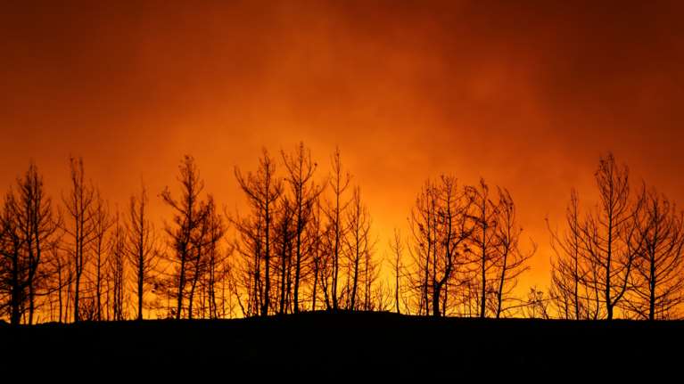 Φωτιά στην Τουρκία - Δραματικές στιγμές στην Αττάλεια - Τρεις νεκροί, συλλυπητήρια από τον Δένδια