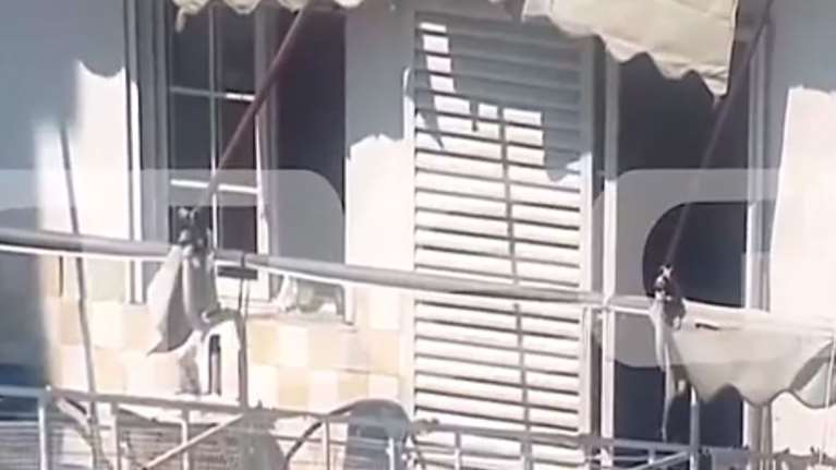 Θεσσαλονίκη: Συγκλονίζει ο αστυνομικός που βρήκε το βρέφος στο μπαλκόνι - "Με φακούς προσπαθήσαμε να ακολουθήσουμε τις φωνές του"