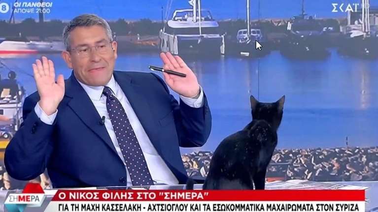 Μαύρη γάτα στο στούντιο του ΣΚΑΪ την ώρα που μίλαγε ο Φίλης - "Ο Μητσοτάκης δεν πέφτει από ναυτιλιακό broker των ΗΠΑ"