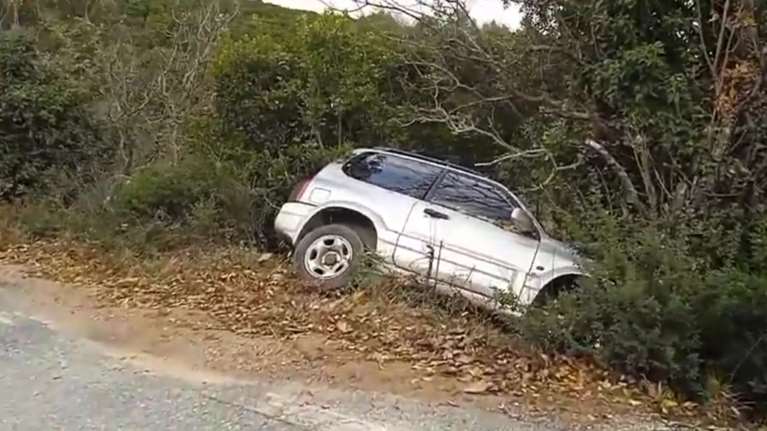 Πήλιο: Ασύλληπτο τροχαίο ατύχημα- Πήδηξε από το αυτοκίνητο και πιάστηκε από το δέντρο για να σωθεί