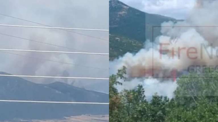 Φωτιά στη Δεσκάτη Γρεβενών: Εκκενώθηκε καταφύγιο με 55 παιδιά - &quot;Ανεξέλεγκτη η πυρκαγιά&quot; [βίντεο]