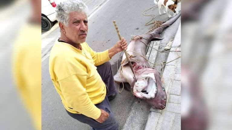 Ψαράς στα Χανιά έπιασε καρχαρία 200 κιλά