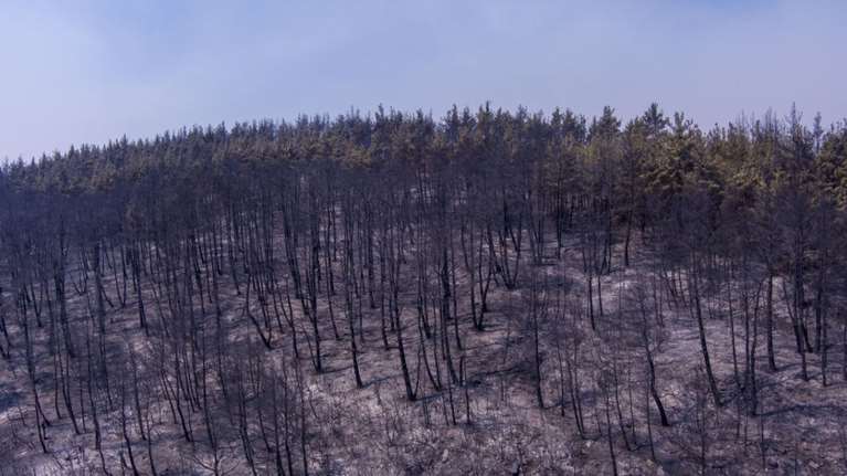ΥΠΕΝ: Αναστέλλονται οι οικονομικές δραστηριότητες στα καμένα στον Έβρο
