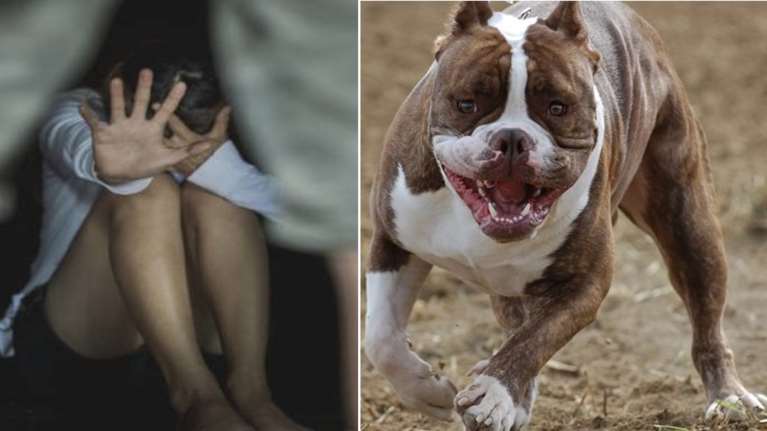 Τρόμος στη Θεσσαλονίκη: Βίαζε 49χρονη για 24 ώρες με την απειλή πιτ μπουλ - Κάθειρξη 12 ετών [Βίντεο]