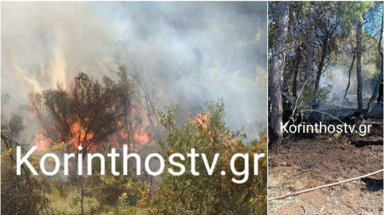 Κορινθία: Φωτιά σε δασική έκταση στο Λουτράκι