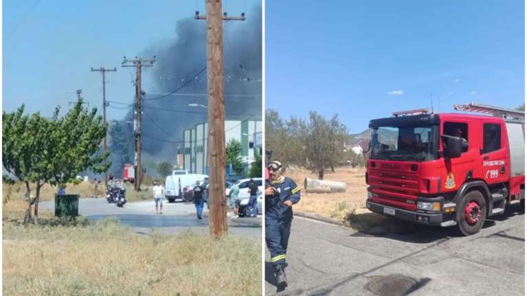 Φωτιά στη Μαγνησία: Μήνυμα 112 για εκκένωση της περιοχής &quot;Άσπρες Πεταλούδες&quot;
