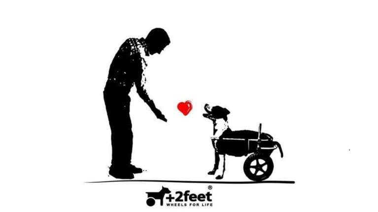 Πρώτη Ημερίδα για τα ανάπηρα ζώα στην Ελλάδα την Παρασκευή στο Γαλάτσι