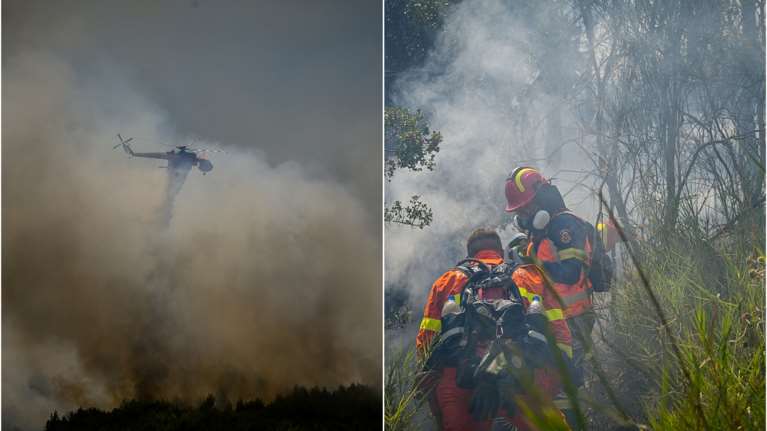 Υπό μερικό έλεγχο η πυρκαγιά στο Βαρνάβα Αττικής: Άναψε από όχημα που πήρε φωτιά εν κινήσει