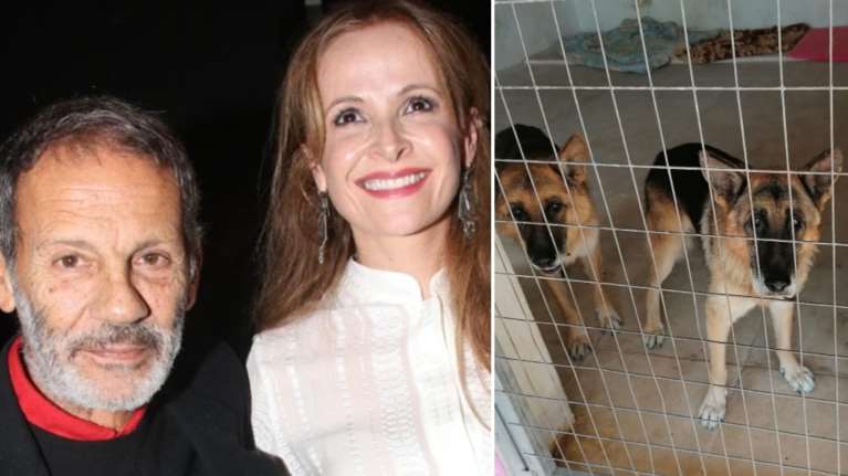 Σταύρος Ξαρχάκος: Αντιδράσεις για τα ηλικιωμένα σκυλιά που άφησε σε καταφύγιο ζώων – Τι απαντά η σύζυγός του [εικόνες]