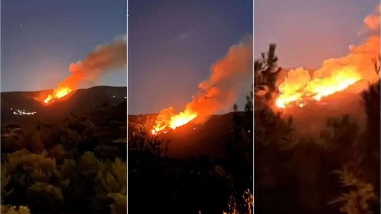 Φωτιά στη Χίο: Καίγεται δασική έκταση στο χωριό Διευχά [εικόνες, βίντεο]