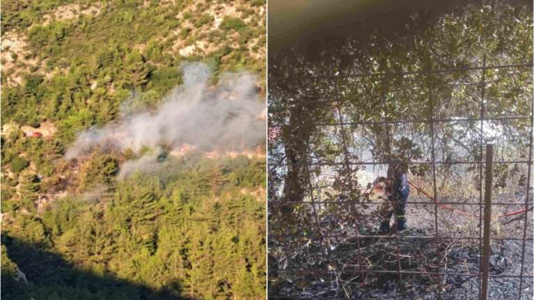 Χανιά: Συνελήφθη 80χρονος για την πυρκαγιά στην Κάνδανο - Κλάδευε και κλαδί έπεσε σε καλώδια του ΔΕΔΔΗΕ