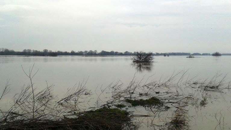 &quot;Αστακός&quot; ο Έβρος: Μη επανδρωμένες τηλεκατευθυνόμενες λέμβους περιπολίας, αγοράζει η αστυνομία