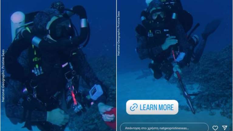 Αυστραλία: Ανακαλύφθηκε το μεγαλύτερο κοράλλι στον κόσμο στα Νησιά Σολομώντα στον Ειρηνικό