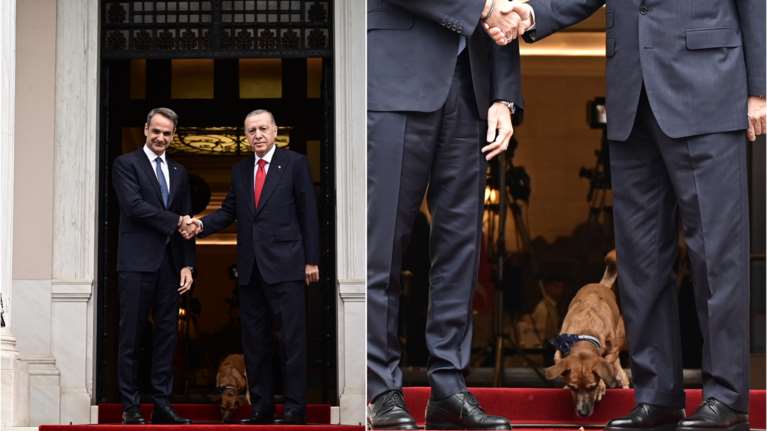 &quot;Πρωταγωνιστής&quot; ο Πίνατ στο Μέγαρο Μαξίμου: Πώς υποδέχτηκε τον Ρετζέπ Ταγίπ Ερντογάν [εικόνες, βίντεο]