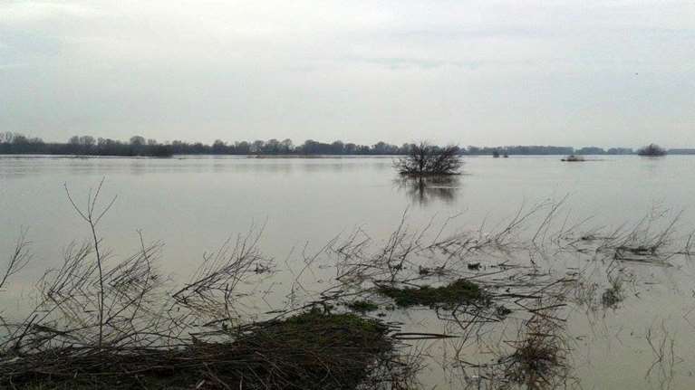Σε νησίδα στον Έβρο εγκλωβισμένοι 50 πρόσφυγες - Επιχείρηση διάσωσης της ΕΜΑΚ