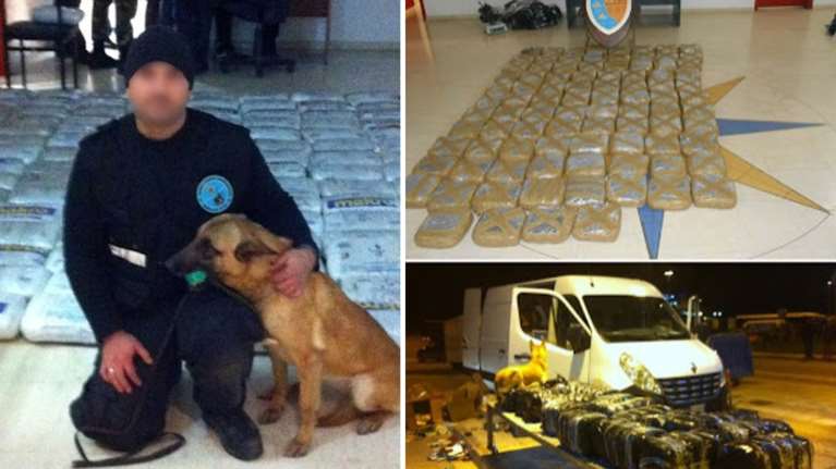 Πέθανε το σκυλί "θρύλος" του Λιμενικού - Φόβητρο των ναρκεμπόρων - Είχε βραβευτεί για τρομερές επιτυχίες