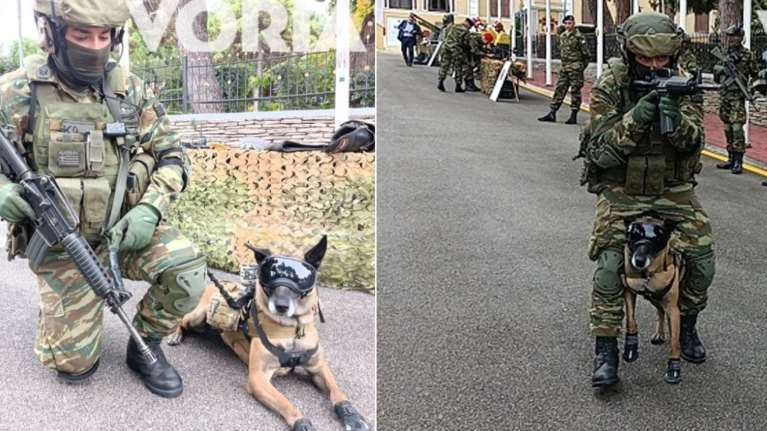 Θεσσαλονίκη: Ο σκύλος κομάντο του Ελληνικού Στρατού που κάνει τον εχθρό να... τρέμει [εικόνες - βίντεο]