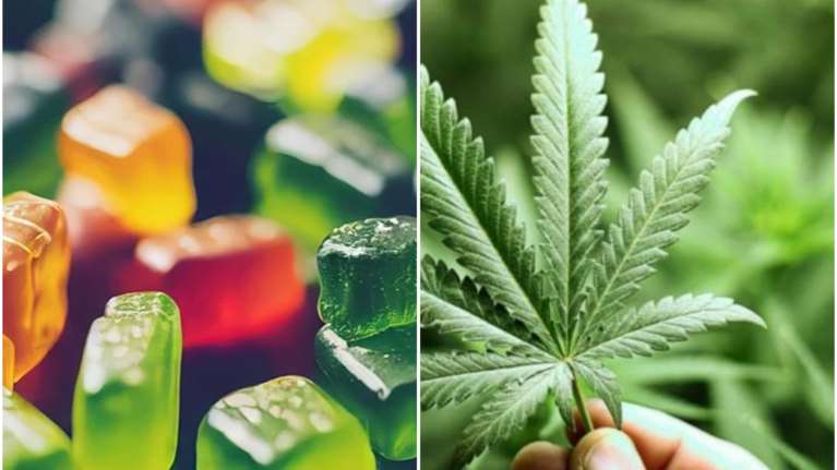 Αποσύρονται τα ζελαδάκια κάνναβης από τα περίπτερα: Περιέχουν ναρκωτική ουσία, λέει ο Άδωνις Γεωργιάδης