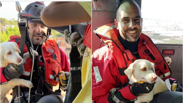 Κακοκαιρία Daniel: Η συγκινητική διάσωση της σκυλίτσας Luna από ελικόπτερο του Πολεμικού Ναυτικού [εικόνες]