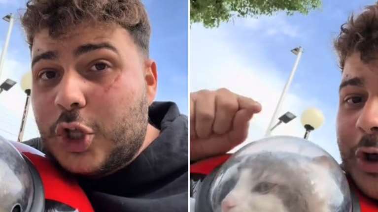 Ίλιον: Οδηγός έδιωξε από το λεωφορείο επιβάτη επειδή είχε μαζί τη γάτα του - &quot;Σήκω μη σε πετάξω έξω με τις κλωτσιές&quot;