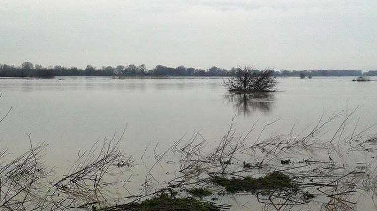 Έβρος: Δεν βρέθηκαν μέχρι στιγμής παράτυποι μετανάστες σε ελληνική νησίδα - Φόβοι για τουρκική προβοκάτσια