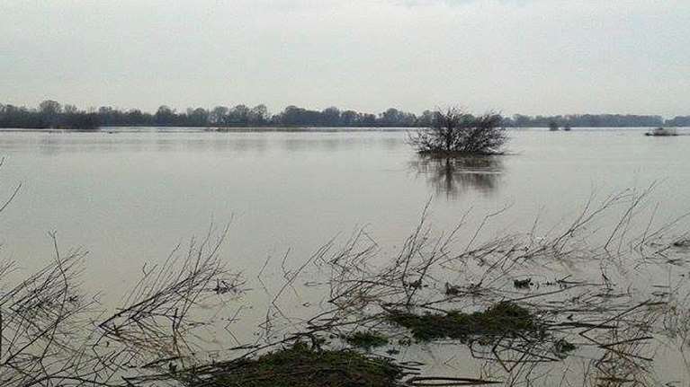 Τουρκικοί ισχυρισμοί για πυροβολισμούς στον Έβρο: &quot;Fake news&quot; απαντά ο Θεοδωρικάκος - &quot;Ουδέποτε συνέβη&quot; αναφέρει η ΕΛΑΣ