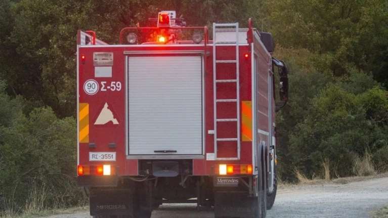 Σε εξέλιξη πυρκαγιά στην Ανάληψη Μεσσήνης: Επιχειρούν εναέρια μέσα