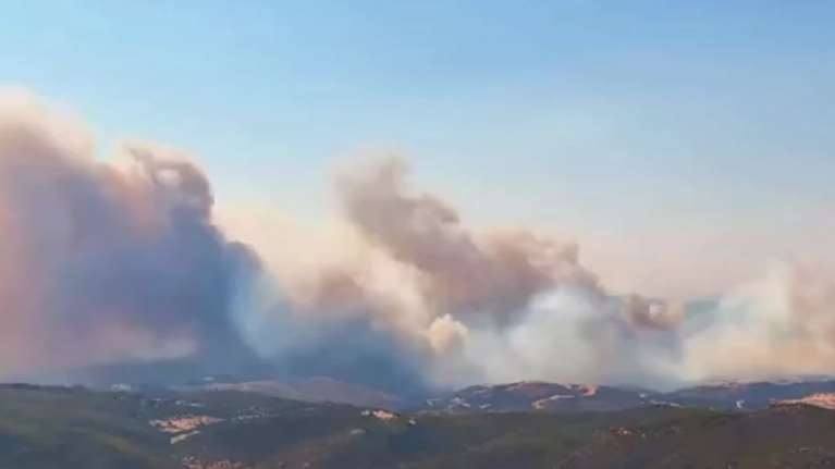 Βίντεο δείχνει καρέ-καρέ την πύρινη λαίλαπα στην Εύβοια - Πώς ξεκίνησε και πώς εξελίχθηκε η φωτιά