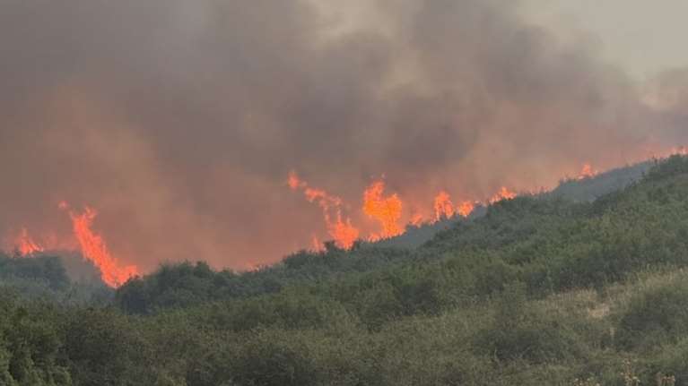 Ξέσπασε φωτιά κοντά στη Στεμνίτσα Αρκαδίας - Σηκώθηκαν δύο αεροσκάφη και τρία ελικόπτερα
