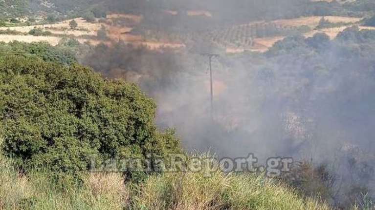 Μεγάλη φωτιά στο Λογγίτσι Στυλίδας - Οι άνεμοι στέλνουν τις φλόγες προς τον οικισμό