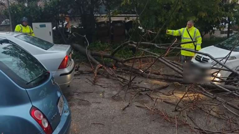 Κακοκαιρία: Δέντρο έπεσε σε ΙΧ στο Περιστέρι, υπερχείλισε ξανά ο υπόνομος στην Ποσειδώνος [βίντεο]