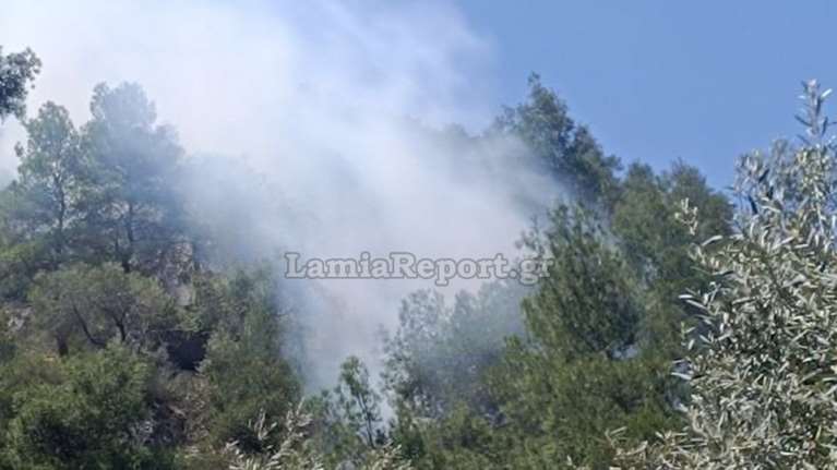 Πυρκαγιά σε πευκόφυτη περιοχή στον Αγιο Κωνσταντίνο - Σηκώθηκε ελικοπτερο