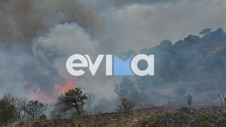 Φωτιά στην Κύμη Αλιβερίου - Μήνυμα 112 στους κατοίκους του Αλμυροποτάμου να είναι σε ετοιμότητα