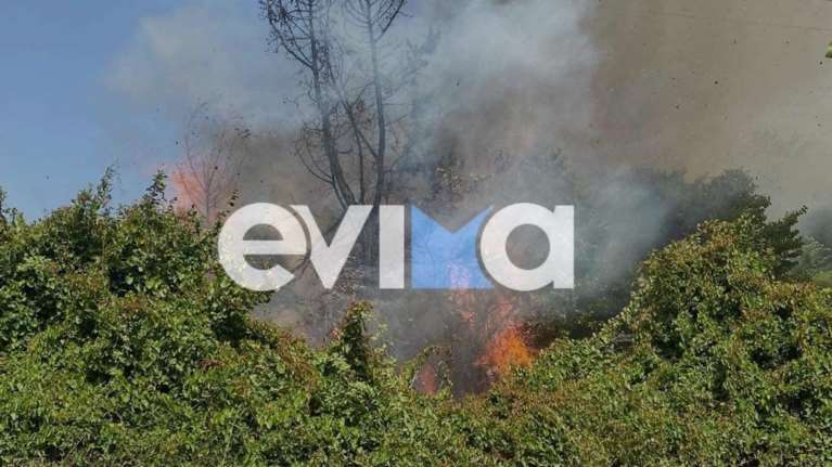 Τέθηκε υπό μερικό έλεγχο η φωτιά στην Κύμη