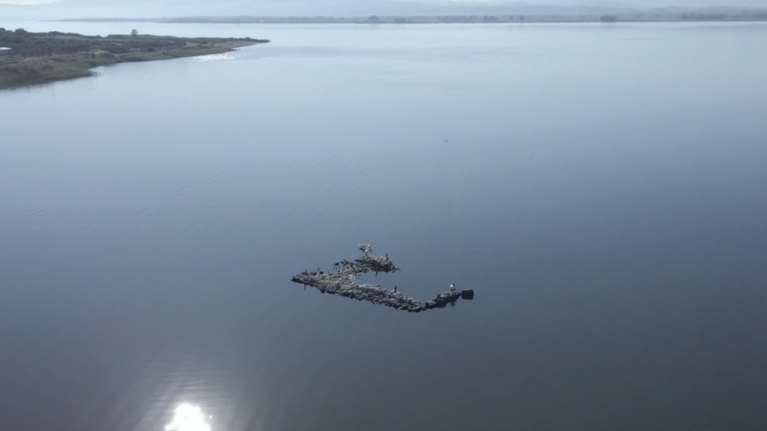 &quot;Στεγνώνει&quot; η λίμνη Βόλβη - Αναδύονται ερείπια, υποχώρησαν έως και 100 μέτρα τα νερά [βίντεο]