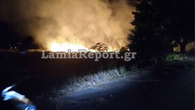 Φωτιά στη Φωκίδα: Καταγγέλλουν εμπρησμό οι κάτοικοι- &quot;Είδαμε μηχανάκι να φεύγει και μετά ξεπήδησαν οι φλόγες&quot; [Βίντεο]