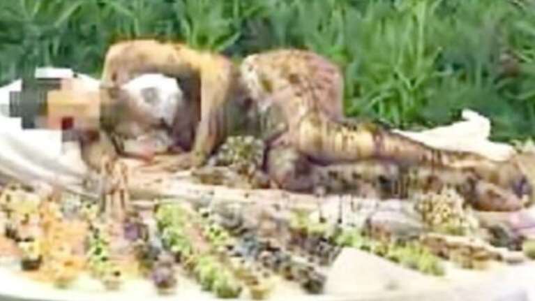 Εικόνα ντροπής στην Ιταλία: Εργαζόμενη αλειμμένη με λιωμένη σοκολάτα σε μπουφέ ξενοδοχείου