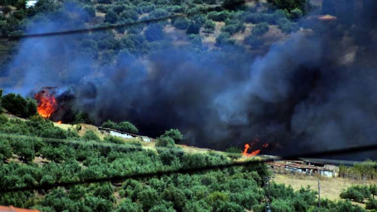 Μία σύλληψη για τη φωτιά στη Νάξο - Ενημέρωση για τις πρωινές πυρκαγιές σε Μαρκόπουλο και Κάρυστο